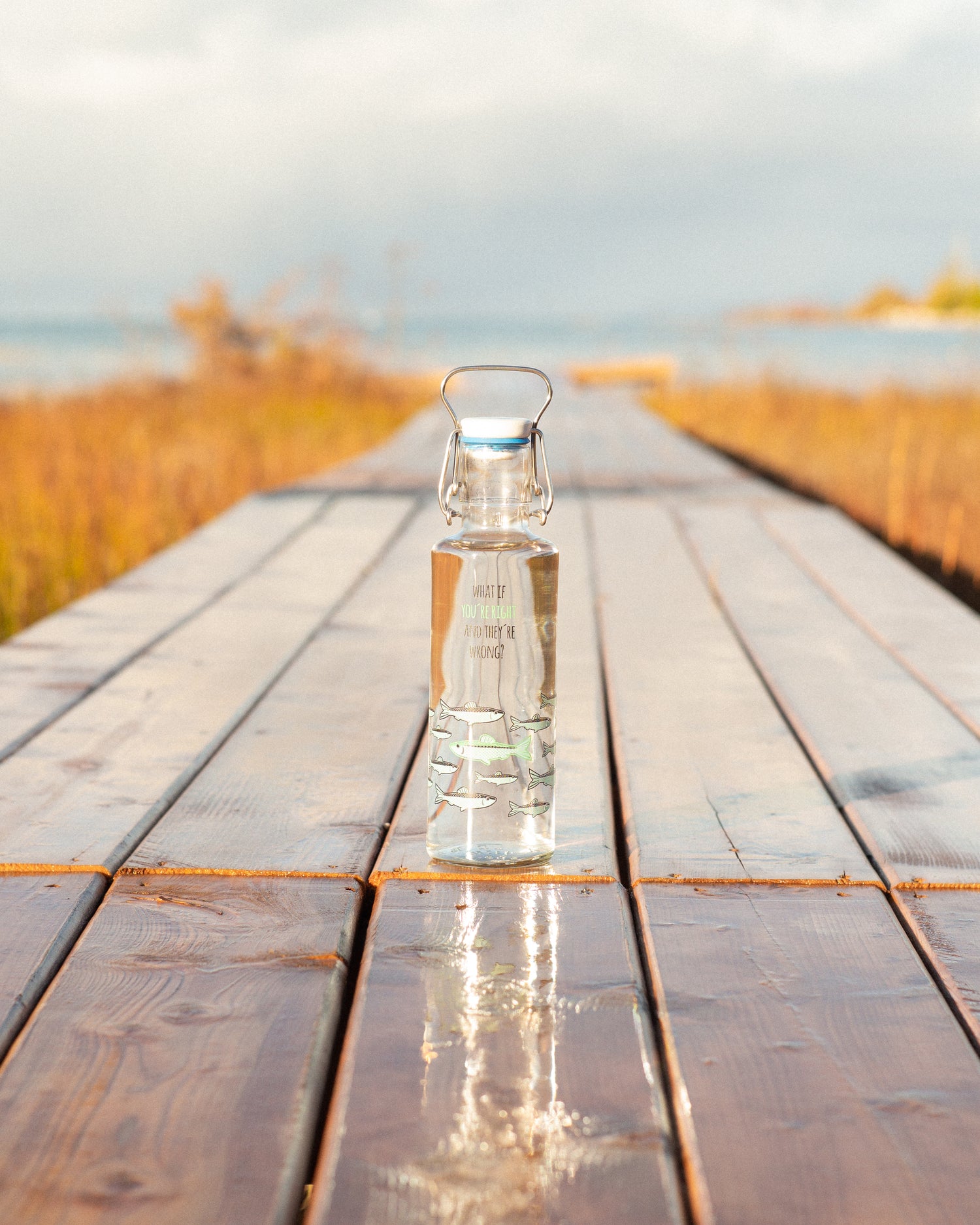 soulbottle thesoggypuffin canada glass bottle drinking bottle plastic-free waste-free sustainable sustainability 